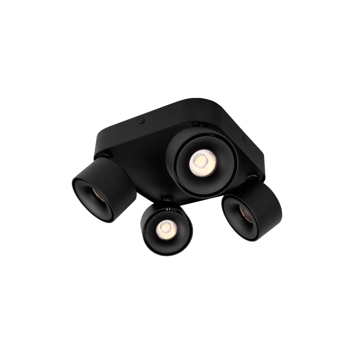 Накладной спот LOFT IT Case 10326 Black_LF