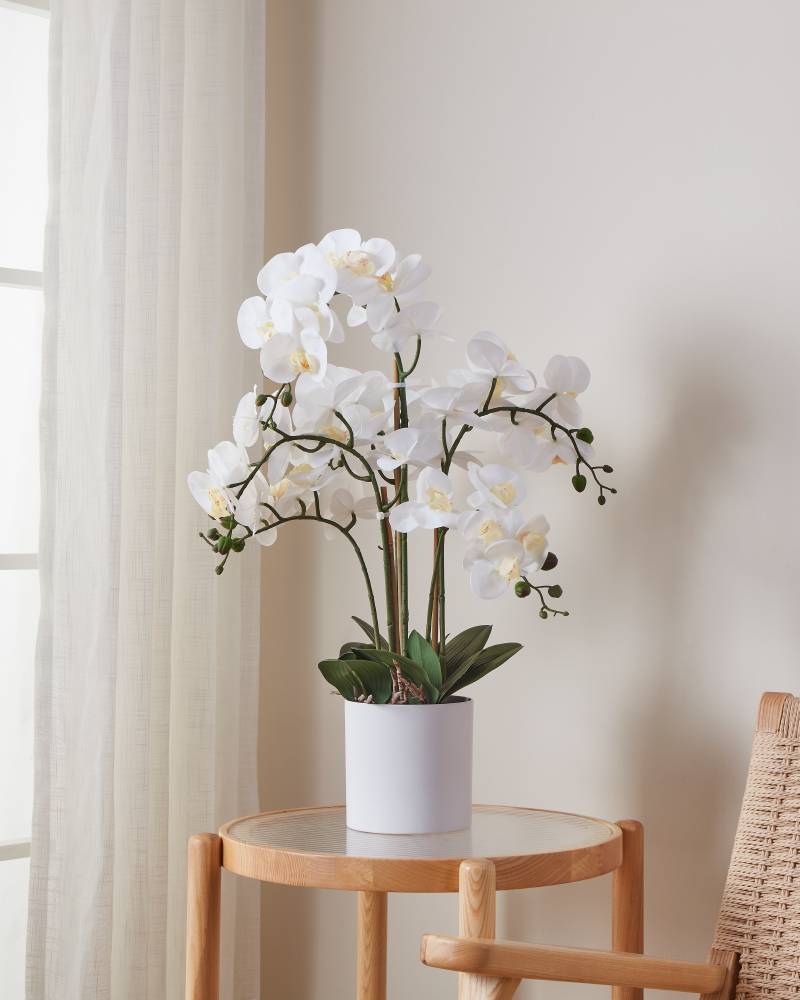 Искусственное растение в горшке Eglo Living HYUGA 428024