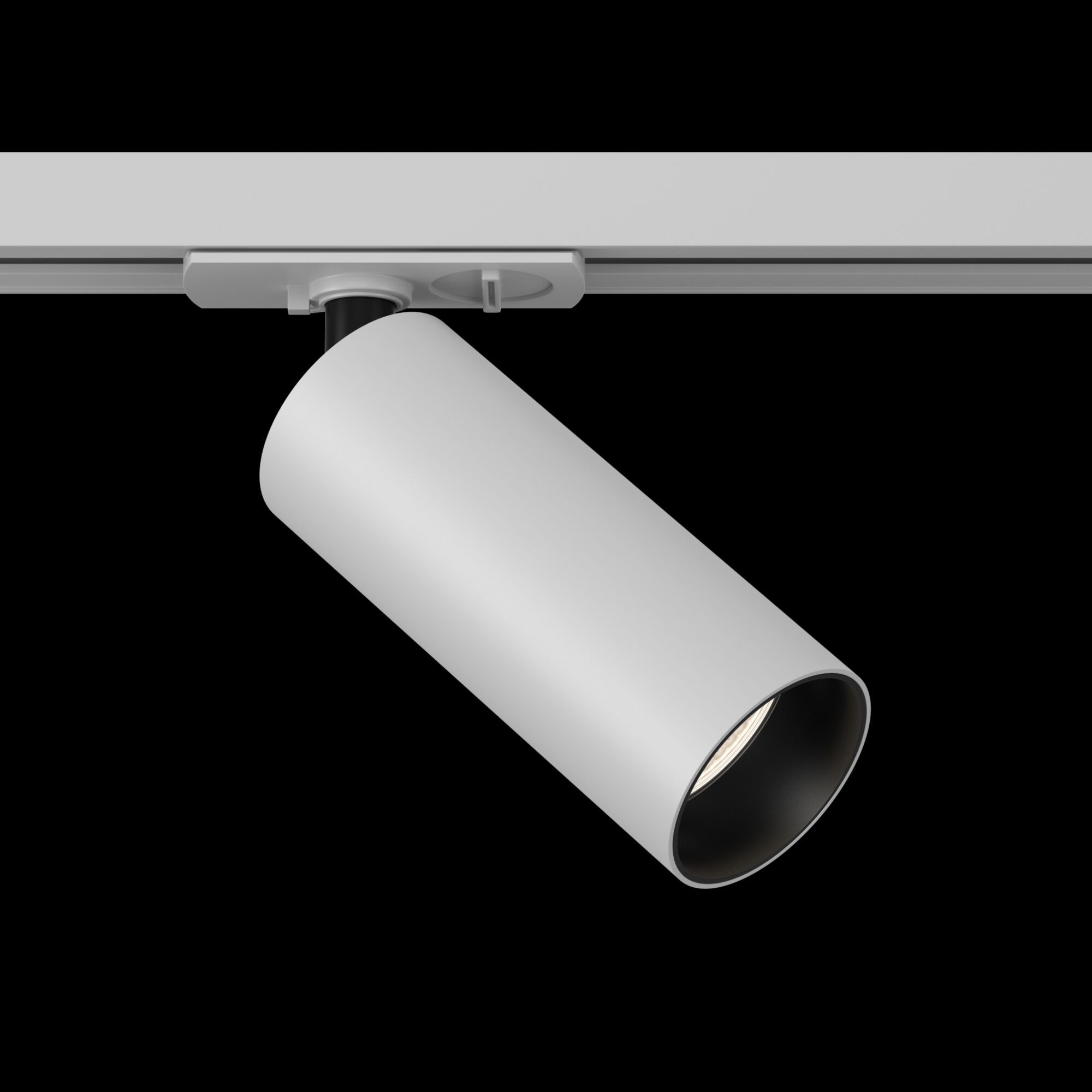 Трековый светильник Maytoni Track lamps TR021-1-12W3K_MY