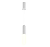 Подвесной светильник Maytoni Technical Mist P101PL-L300-12W3K-W_MY