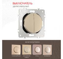 Выключатель двухклавишный 10AX 250V Arte Milano 202.30-2.shampan