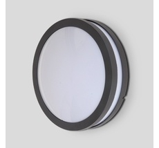 Потолочный светильник уличный IP54 Oasis Light 3362 Gr_OL