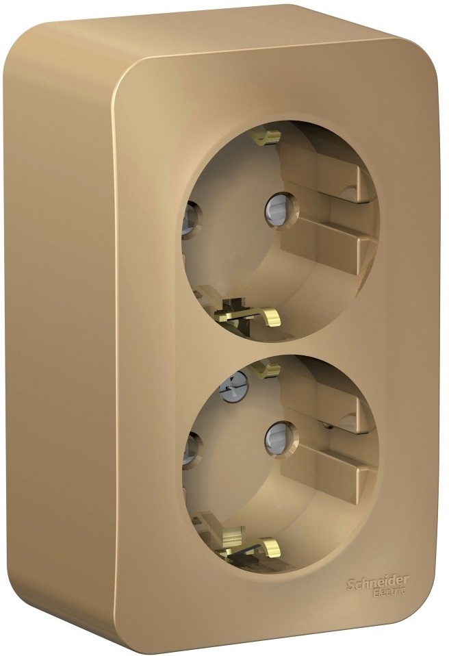 Розетка накладная двойная с заземлением и шторками (титан) Systeme Electric BLNRA011214