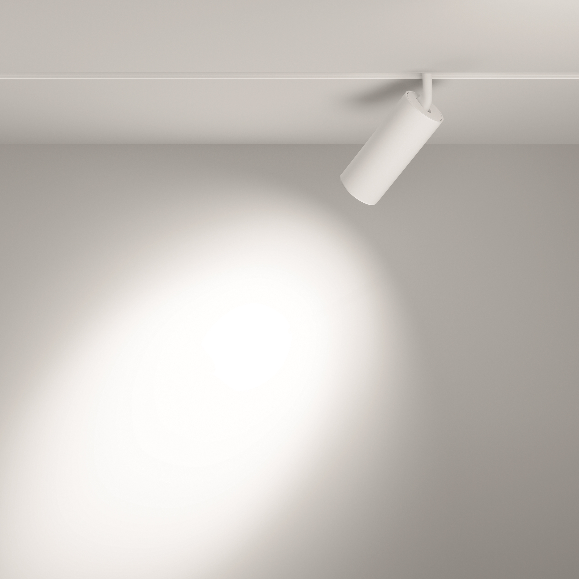 Трековый светильник Maytoni Technical Focus TR032-2-20W3K-S-W_MY