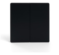 Выключатель беспроводной Feron 41723_FR