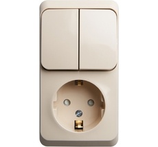 Розетка накладная с заземлением с двухклавишным выключателем (кремовый) Systeme Electric BPA16-202K