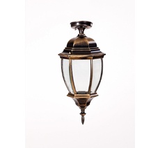 Потолочный светильник уличный IP44 Oasis Light 91205LA Gb_OL