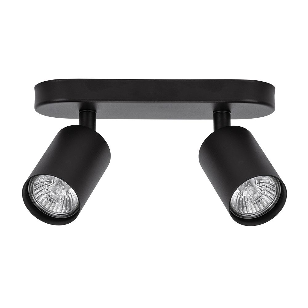 Спот ArteLamp AQUARIUS A3226PL-2BK