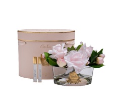 Диффузор Oval Pink, спрей Winter in Chatou Garda Decor 96CN-LV2100