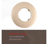 Рамка из поликарбоната на 1 пост Arte Milano 502.08-1.shampan