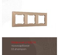 Рамка из поликарбоната на 3 поста Arte Milano 503.03-3.shampan