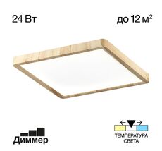 Потолочный светильник Citilux Бейсик CL738K242V