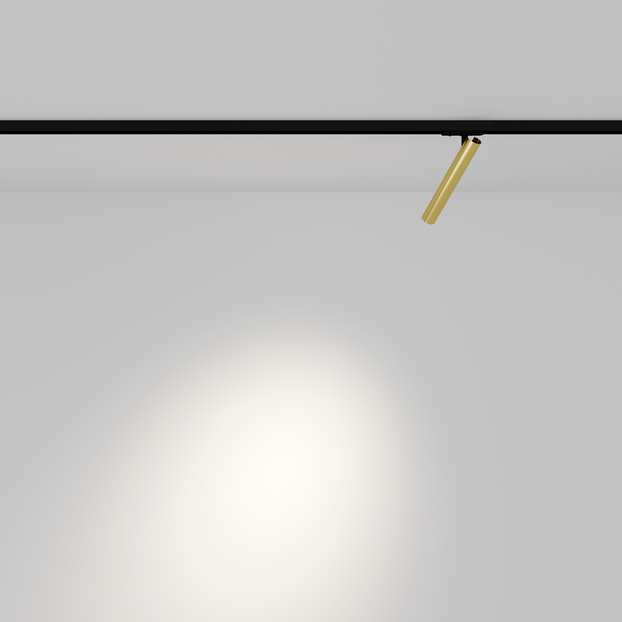 Трековый светильник Maytoni Focus T TR141-1-6W3K-M-BS_MY