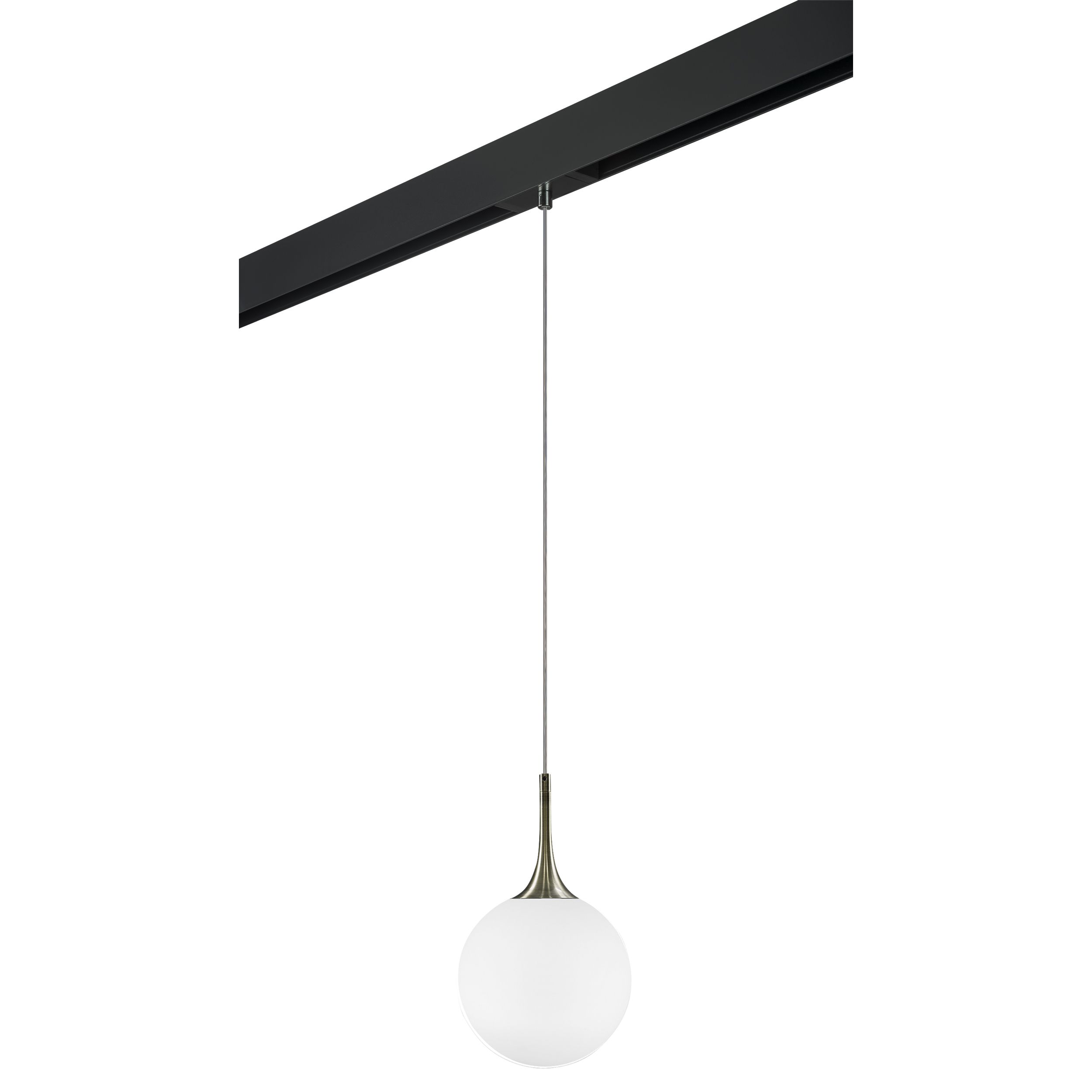 Трековый светильник подвесной Lightstar Globo PRO813021_LS