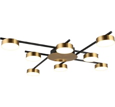 Потолочная светодиодная люстра на штанге Aployt APL.042.07.56