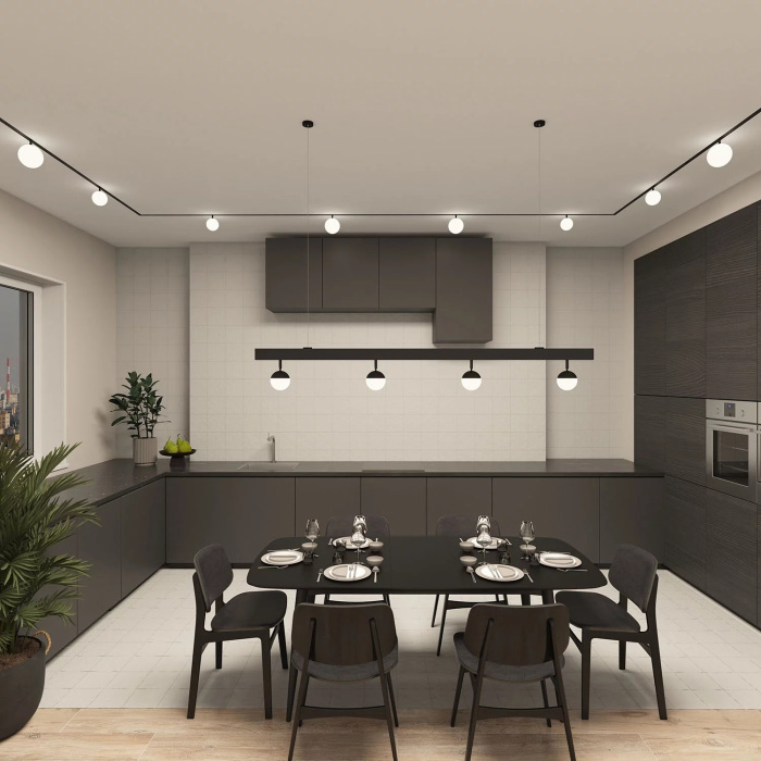 Светильник на шине Denkirs SMART MOON DK8055-BK