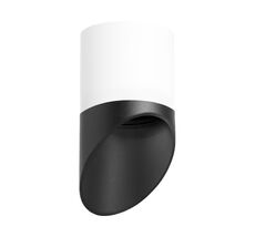 Накладной светильник LightStar Rullo R348687_LS