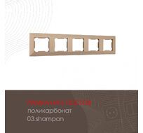 Рамка из поликарбоната на 5 постов Arte Milano 503.03-5.shampan