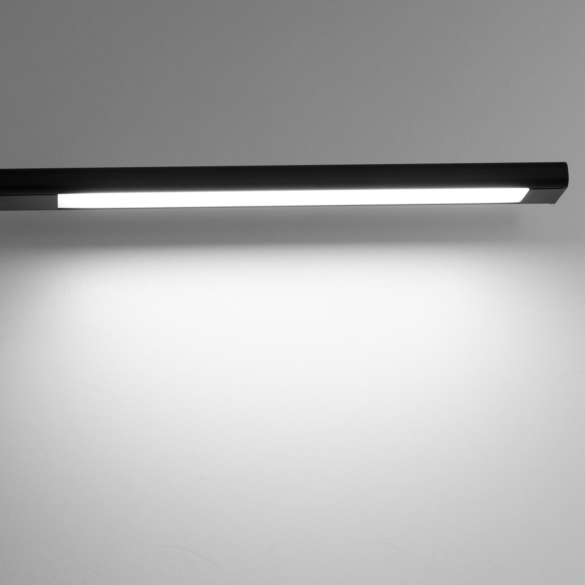 Настольная лампа Citilux Рио CL803091N