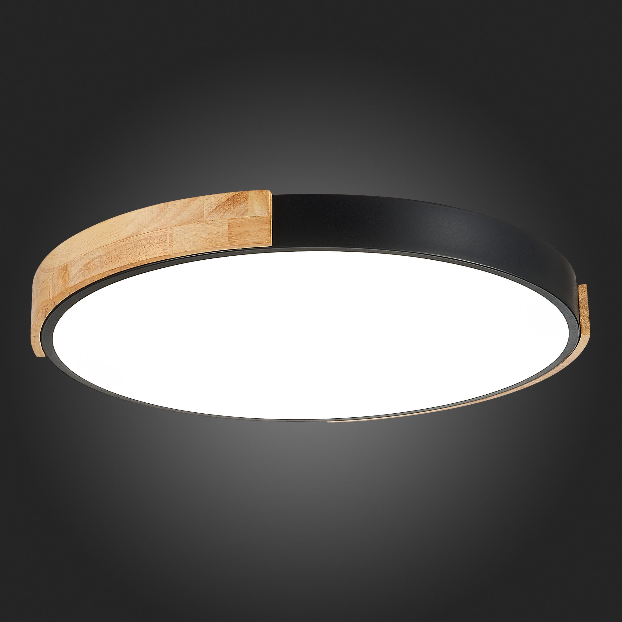 Потолочный светильник Evoluce DELIA SLE201342-01