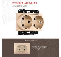 Розетка двойная с заземлением 16A 250V Arte Milano 217.40-2.shampan