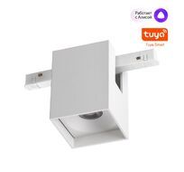 Трековый низковольтный смарт-светильник диммируемый ПДУ/Smart Life NOVOTECH FLUM 359518