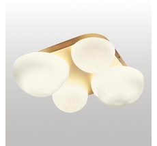 Потолочный светильник Lussole MOORE LSP-8990