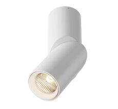 Спот Maytoni Dafne C027CL-L10W_MY