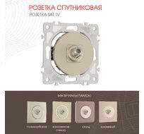Розетка спутниковая SAT TV Arte Milano 202.42-1.shampan