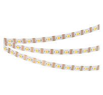 Лента Arlight SPI-B60-10mm 5060 12V 300LED 9,3 Вт/м 033438_ARL