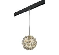 Трековый светильник подвесной Lightstar Fermo PRO724212_LS
