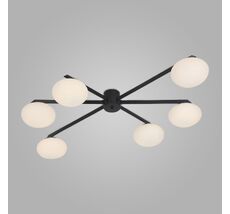 Потолочная люстра Eurosvet Opaline a065765_EU