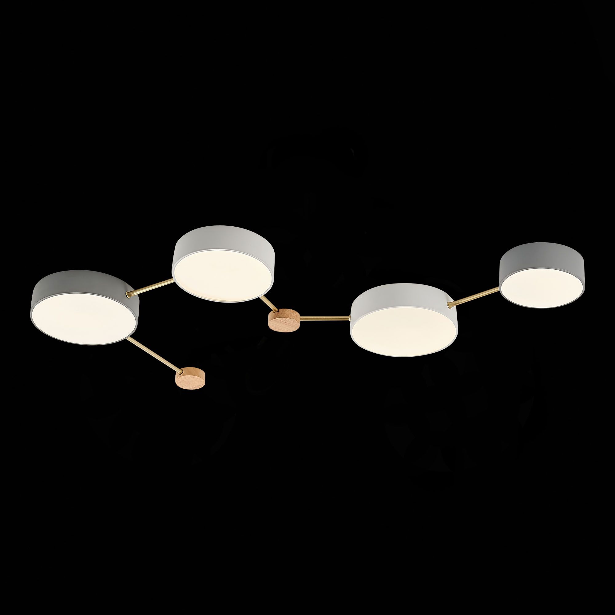 Потолочная люстра Evoluce DOSSENA SLE600102-04