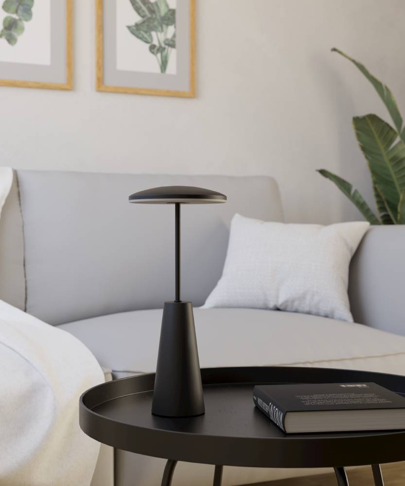 Уличная настольная лампа диммируемая сенсорная с USB-портом Eglo PICCOLA 900925