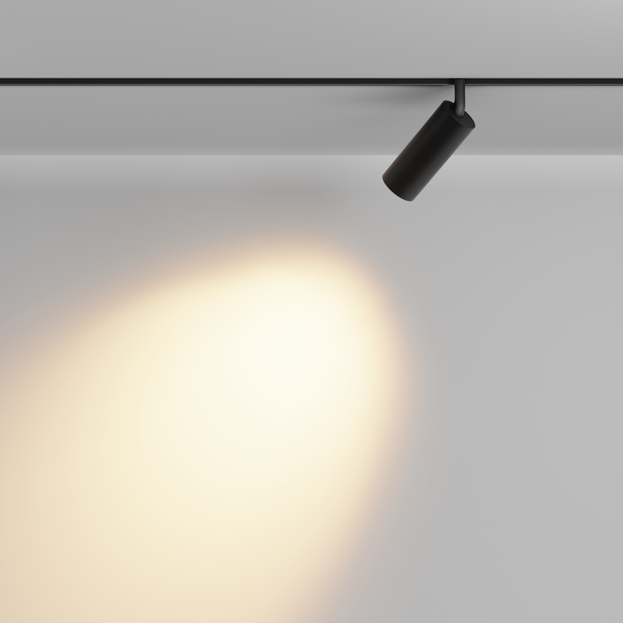 Трековый светильник Maytoni Focus LED TR032-2-12W2.7K-M-B_MY