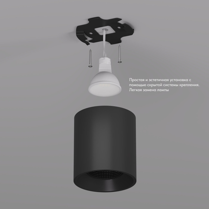 Накладной светильник Denkirs DK3090-BK