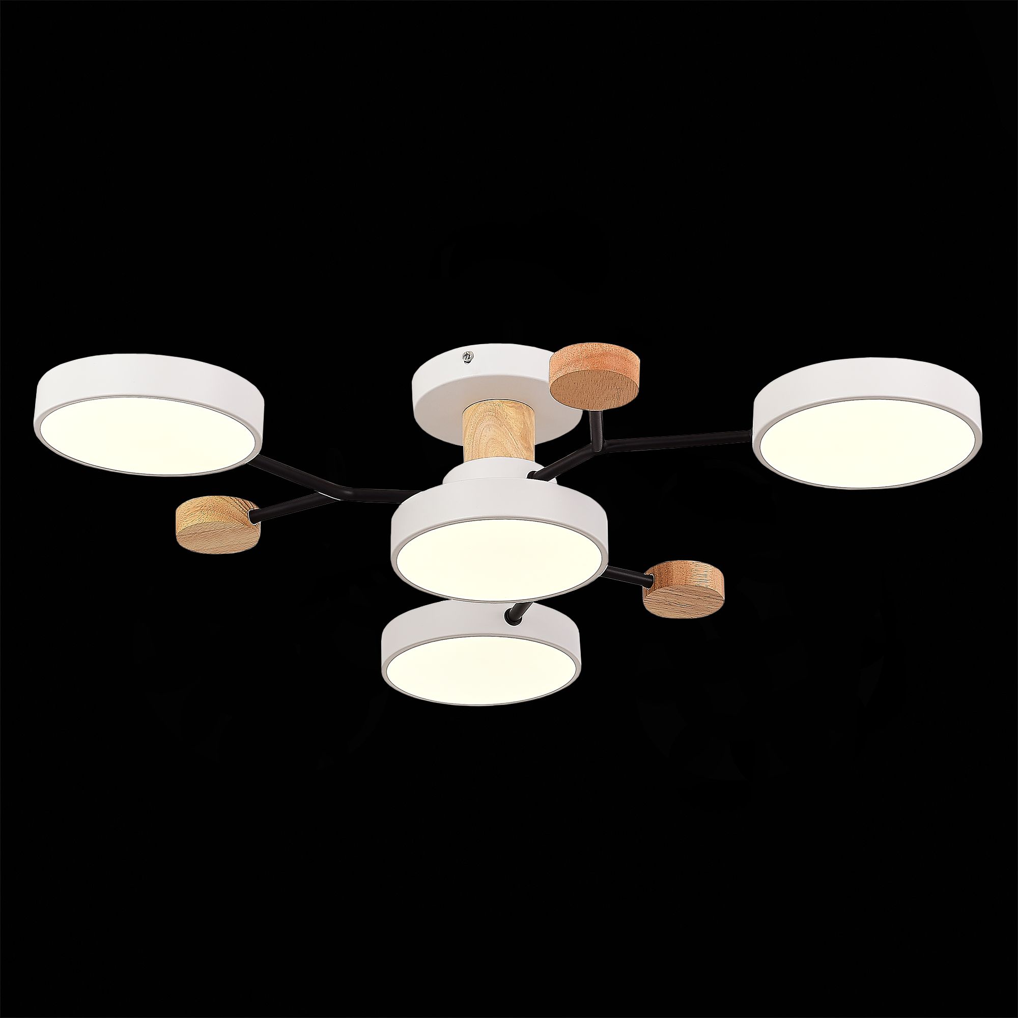 Потолочная люстра Evoluce FAEMA SLE6006-502-04