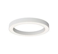 Потолочный светильник Maytoni Lua C093CL-45W4K-W_MY