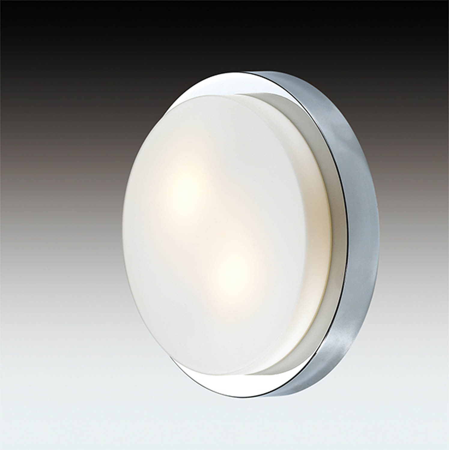 Настенно-потолочный светильник Odeon Light Holger 2746/2C
