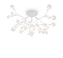 Потолочная люстра Freya Florencia FR5049CL-27W1_MY
