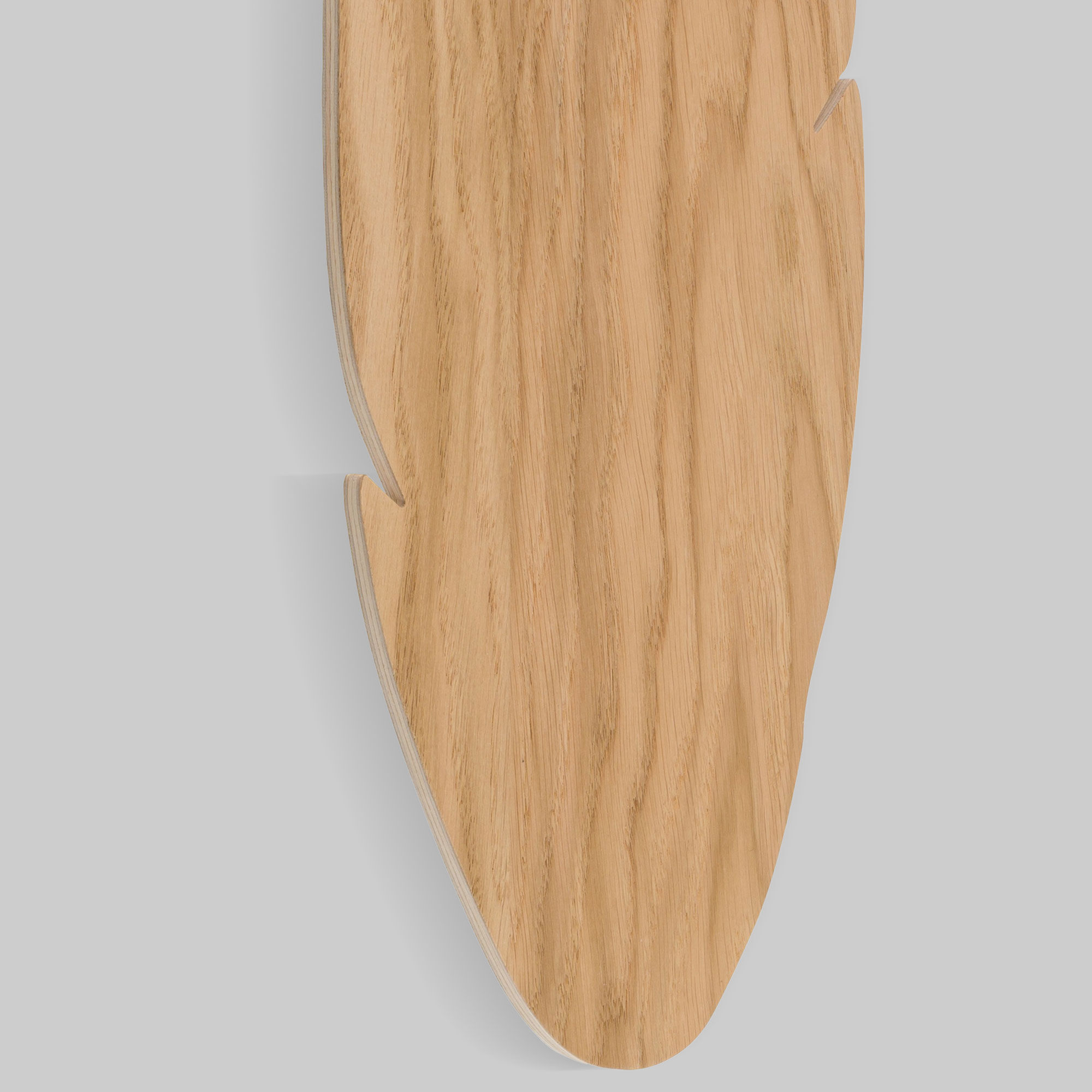 Настенный светильник TK Lighting Hoja a065086_EU