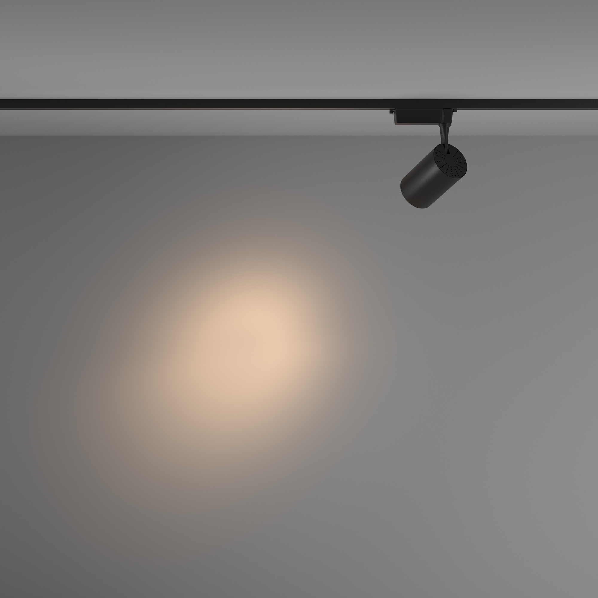 Трековый светильник Maytoni Technical Vuoro TR003-1-15W3K-S-B_MY