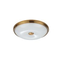 Потолочный светильник Odeon Light PELOW 4956/4