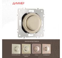 Диммер 500W Arte Milano 202.48-1.shampan