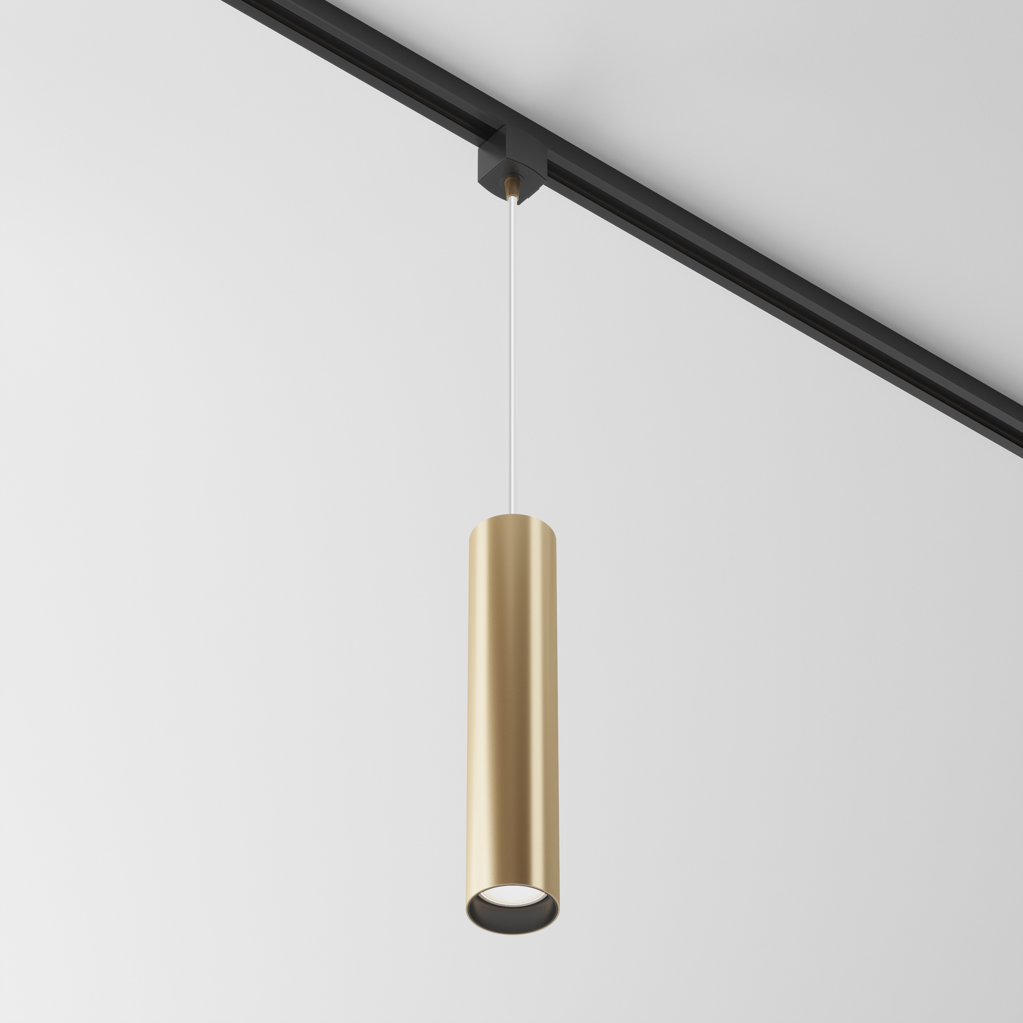 Трековый светильник Maytoni Focus TR025-1-GU10-MG_MY