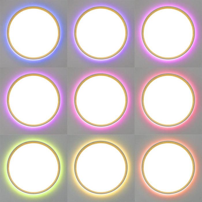 Потолочный светильник Citilux Etalon CL750320R