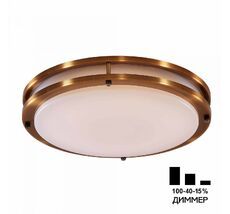 Потолочный светильник CitiLux Бостон CL709503N