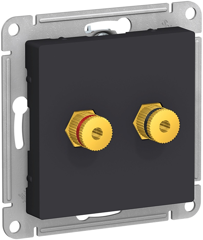 Акустическая розетка встраиваемая двойная (карбон) Systeme Electric ATN001087