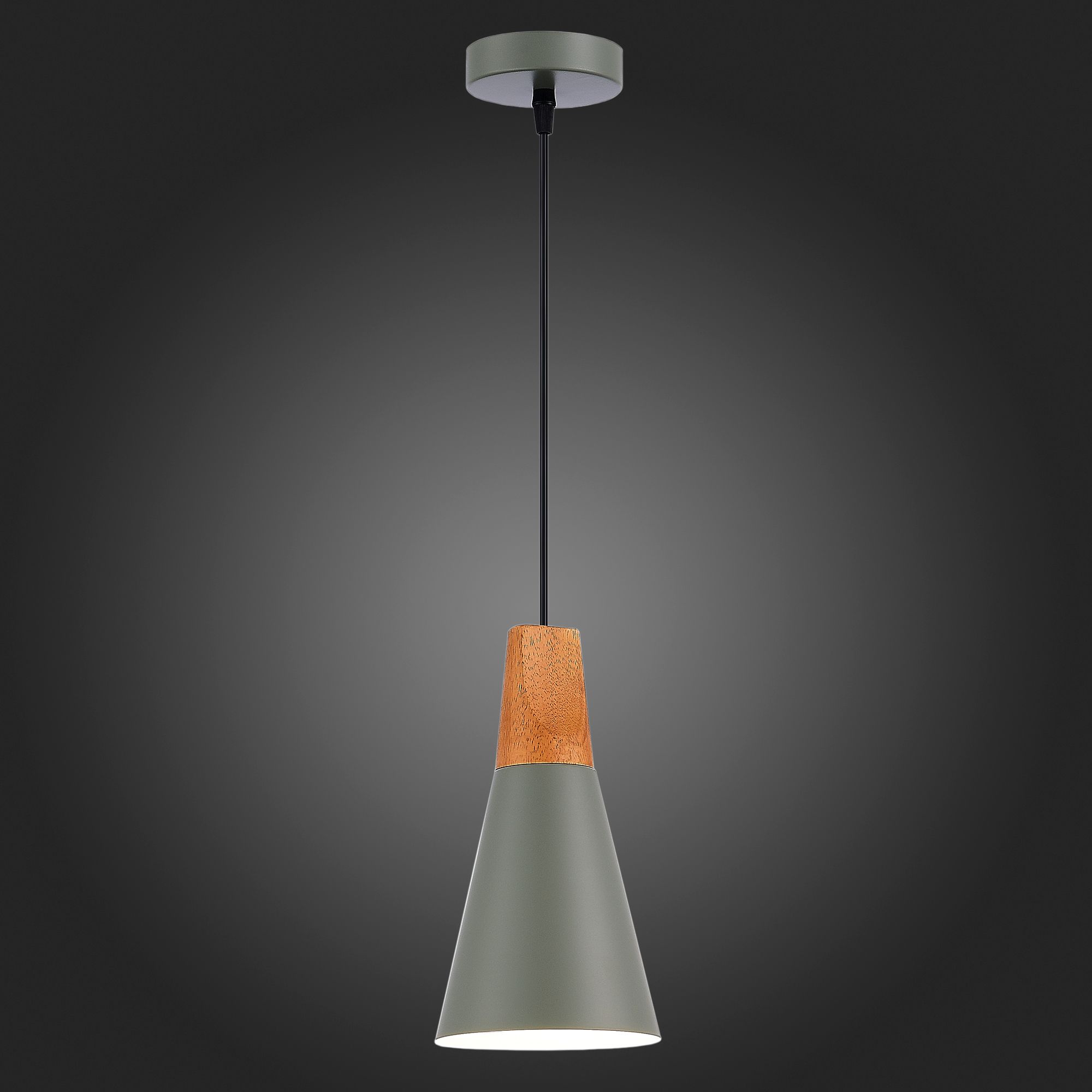 Подвесной светильник Evoluce MODICA SLE125173-01