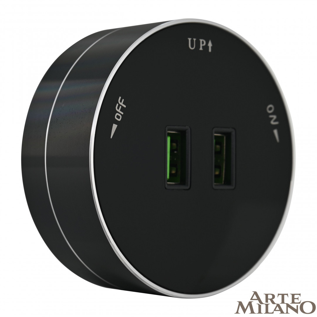 Трековая розетка Arte Milano track-sockets 380011TS/USBx2 Black